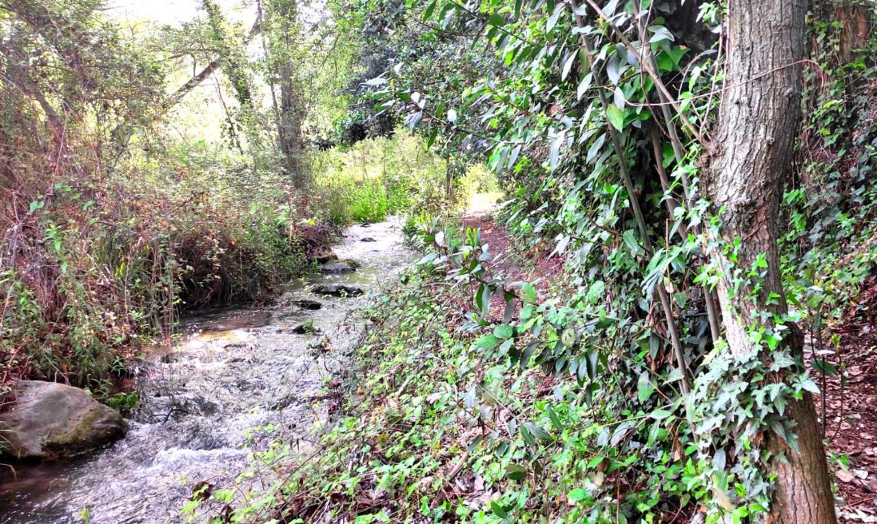 Encinar De Aguas Blancas Vendégház Dúdar Kültér fotó