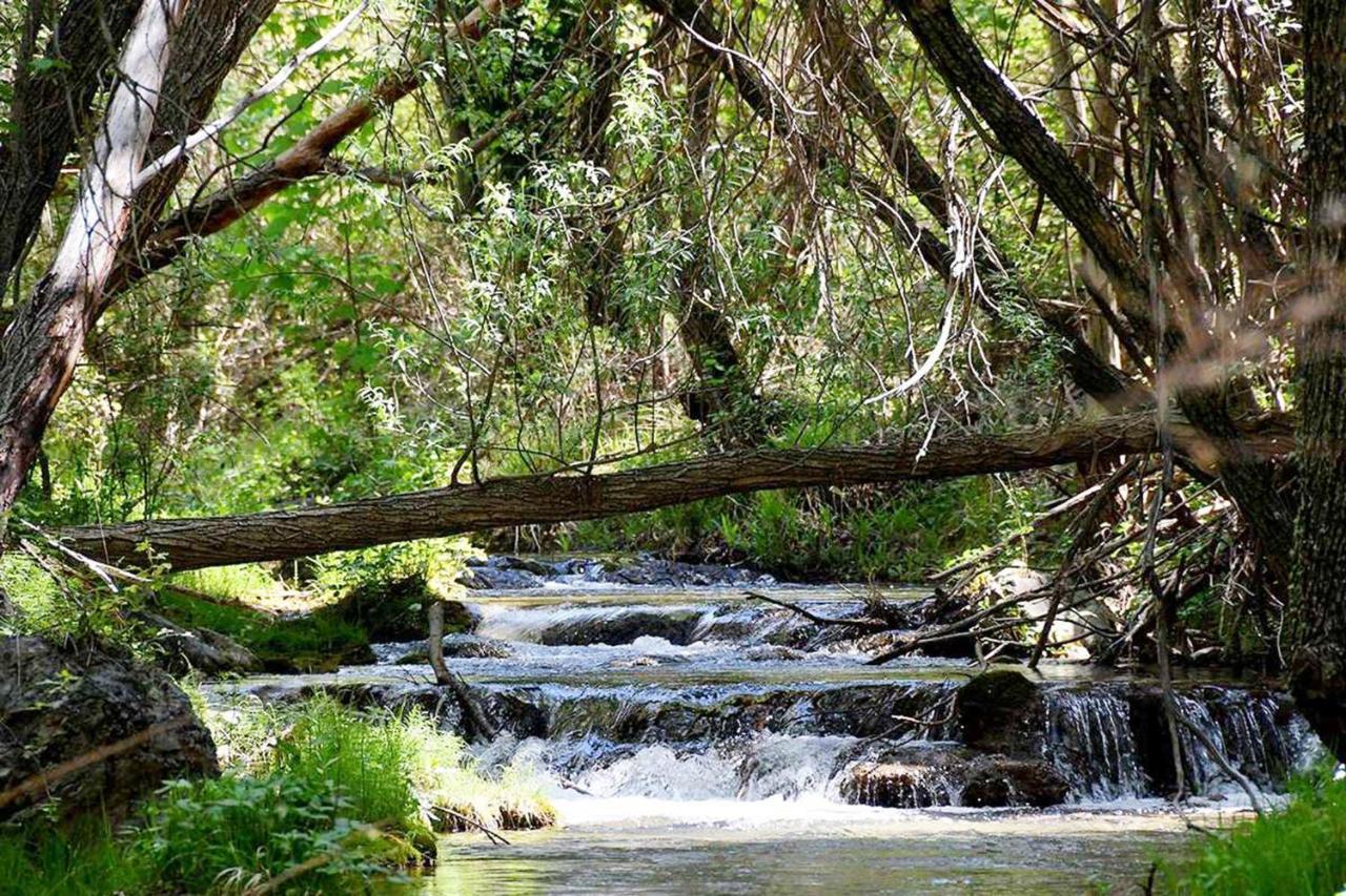 Encinar De Aguas Blancas Vendégház Dúdar Kültér fotó